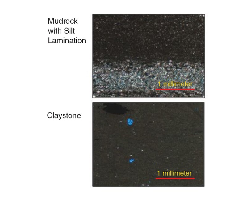The thin section images on the left represent a regular shale (top) and a claystone (bottom).