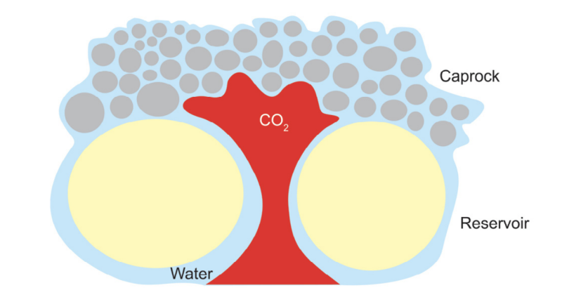 Figure 4_upper image.png