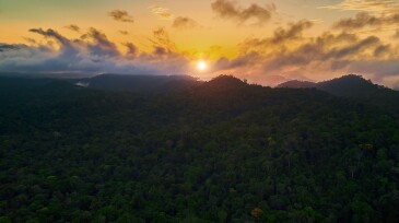 Guyana - Sunset overlooking the Amazon rainforest