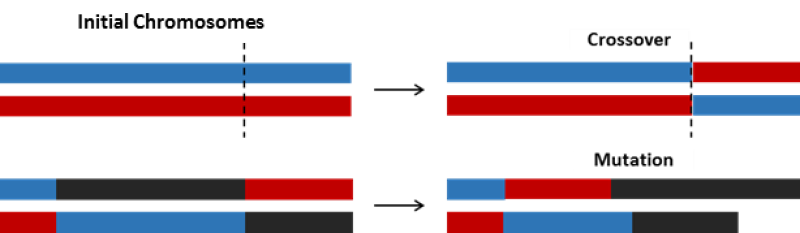 ogf-2018-11-techsyn190812-fig1.png