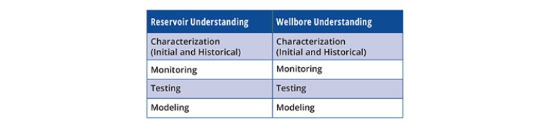 Reservoir and Wellbore Understanding table