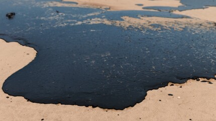 Fuel oil on sea coastline after a tanker wreck. Oil polluted beach