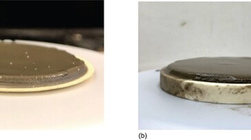 Images of HP/HT filter cakes through (a) paper and (b) aloxite disc.
