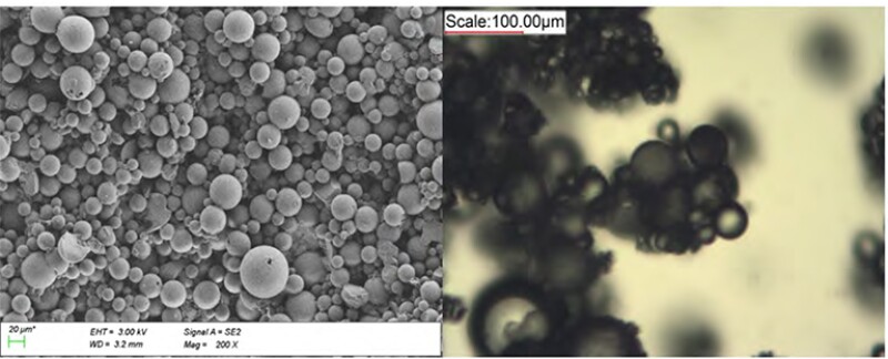 Morphology of β-CPMs observed by SEM and polarizing microscope.