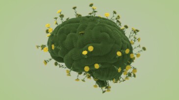 Brain shape with grass and flower, thinking climate change sustainable energy