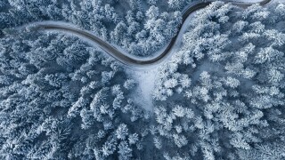 Road leading through snowcapped winter forest. Aerial view.