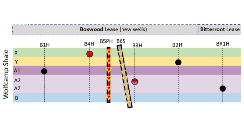Layout of wells used in the PIT.