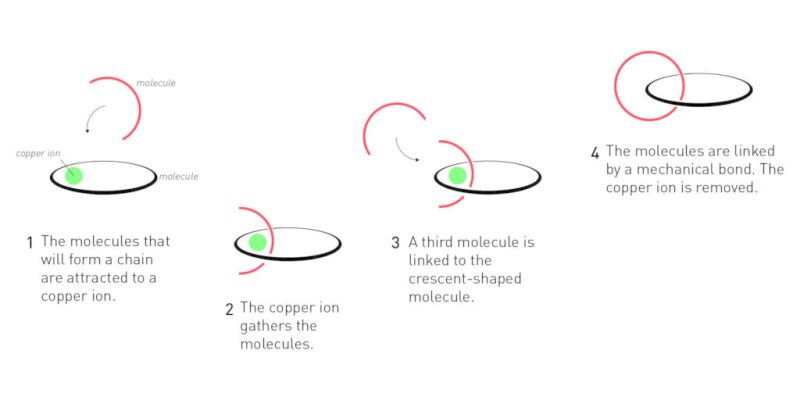 twa-2016-10-chemistrynobel-fig1.jpg