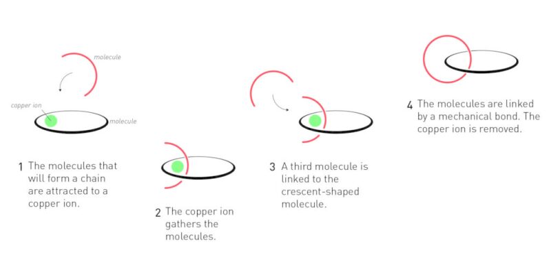 twa-2016-10-chemistrynobel-fig1.jpg