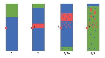A simplified illustration of the interpreted observed process.