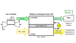 Untitled design(5).png