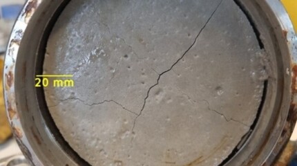 228407_Fig1.jpg