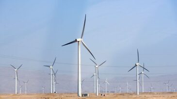 jpt-2020-egypt-windmills.jpg