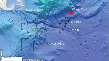 whale-map-gulf-of-mexico.jpeg