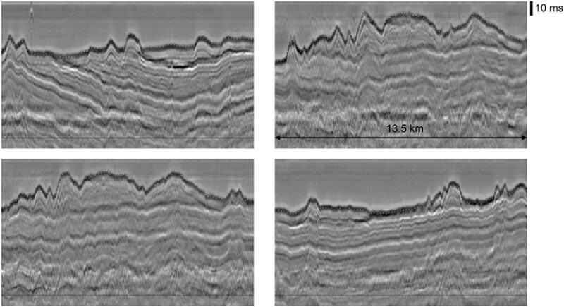 Near-surface section imaged with NFH data.