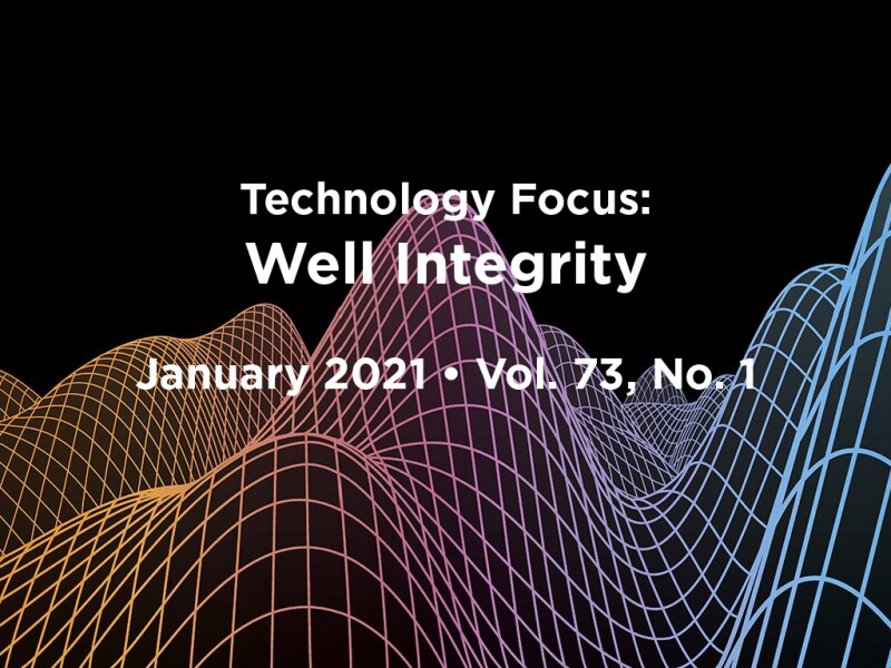 Well Integrity Focus Lead