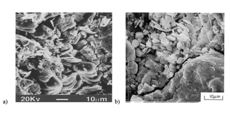 SEM photographs of kaolinite