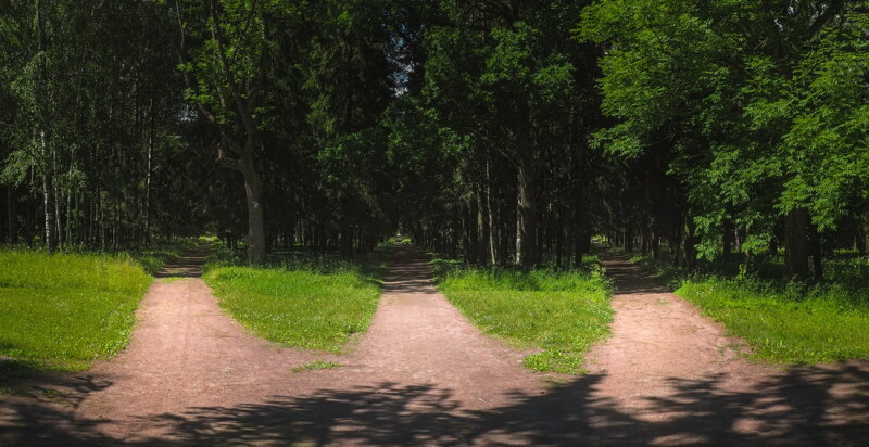 Three roads in the forest, choice of path