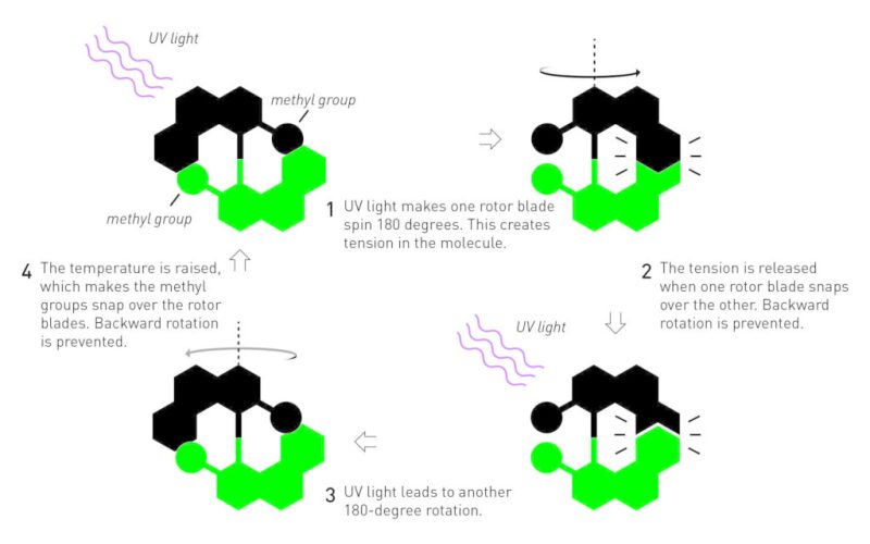 twa-2016-10-chemistrynobel-fig4.jpg