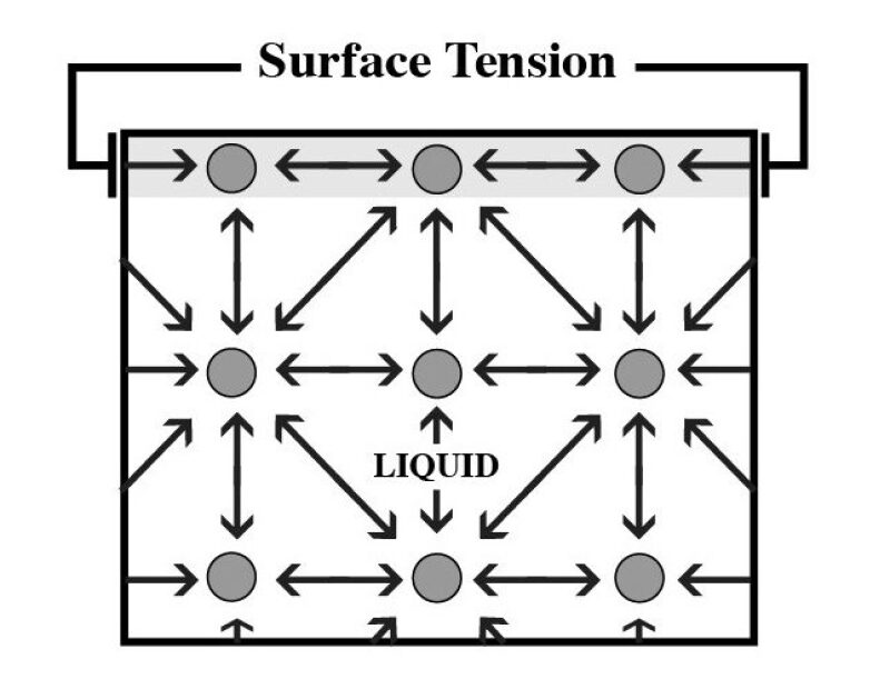 ogf-2017-05-savvy-fig3.jpg