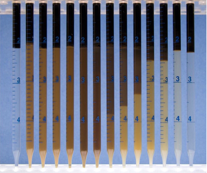 Photograph of initial formulation with Mangala crude after 11 days at 62°C (WOR=2.33).