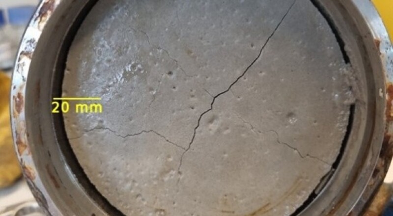 228407_Fig1.jpg