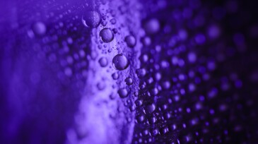 Shot of wet purple surface with colorful glistering water drops