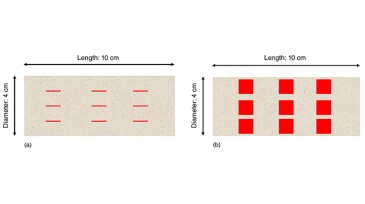 Fig. 1—Diagram of the core sample with complex media development. (a) Fracture network, (b) vug network.