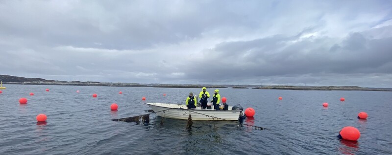 jpt_2022_seaweed_carbon_solutions_pilot.jpg