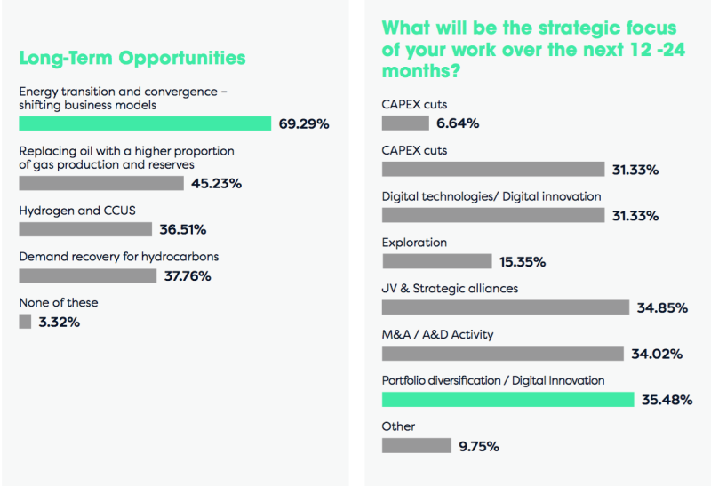 Energy Council 2021 Future Outlook Survey Report 