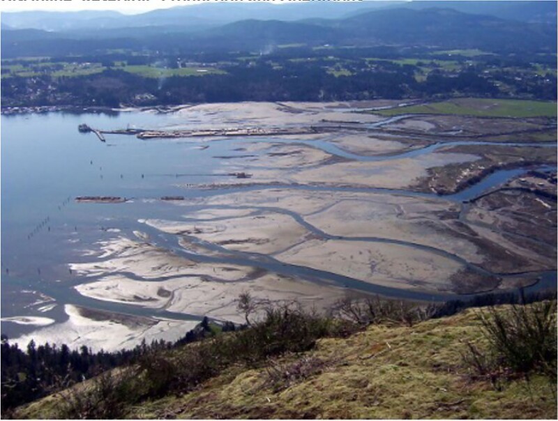 Traditional oil extraction methods