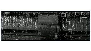 Fig. 1—Example of image detection in action.