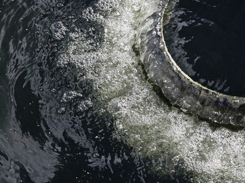 ogf-2012-04-waterhero.jpg