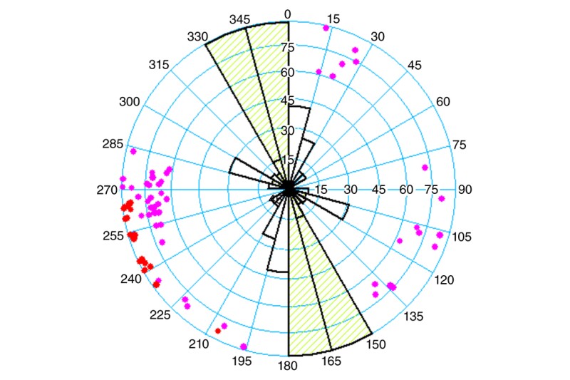 Representation of the correlation between interpreted fractures (red) and fractures from 3DFFS (pink).