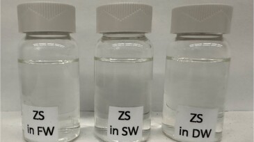 Fig. 2—Solubility picture of the described ZS. FW = distilled deionized water, SW = seawater, and DW = reservoir brine.