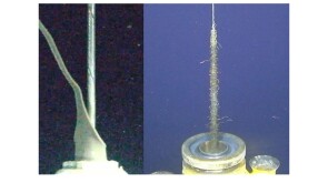 Fig. 1—Stranded armor (left) and subsequent bird-nested cable (right) recovered from Well 11.