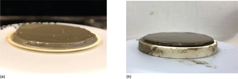 Images of HP/HT filter cakes through (a) paper and (b) aloxite disc.