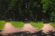 Three roads in the forest, choice of path