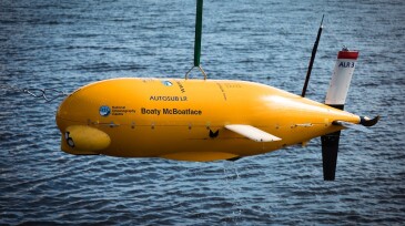 Boaty.jpg