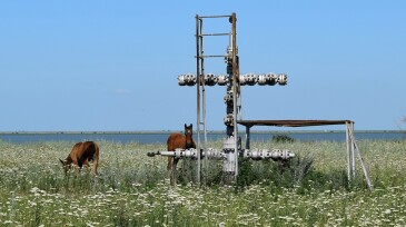 Equipment of an oil well