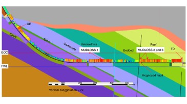 Fig. 1—Well profile showing loss zones. GOC = gas/oil contact; FWL = free water level