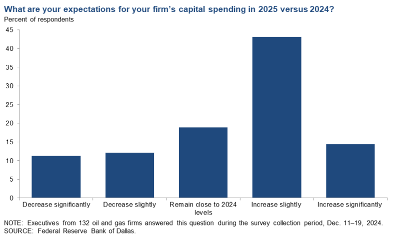 DallasFed-Q42024-Spending.png