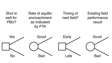 VOI decision tree (abbreviated version) for Example 2 involving PBU surveillance.