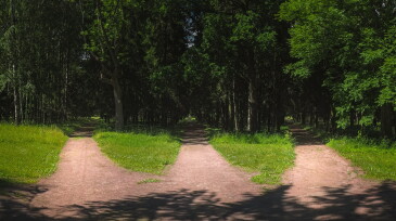 Three roads in the forest, choice of path