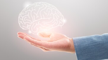 Female doctor holding brain illustration against the gray background. Mental health protection and care