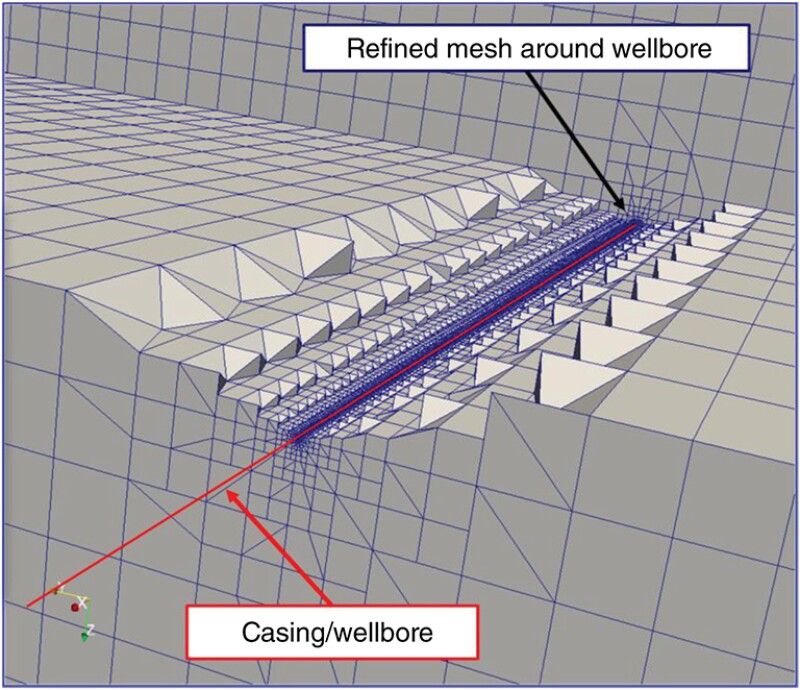 3D visualization of the wellbore and formation meshing