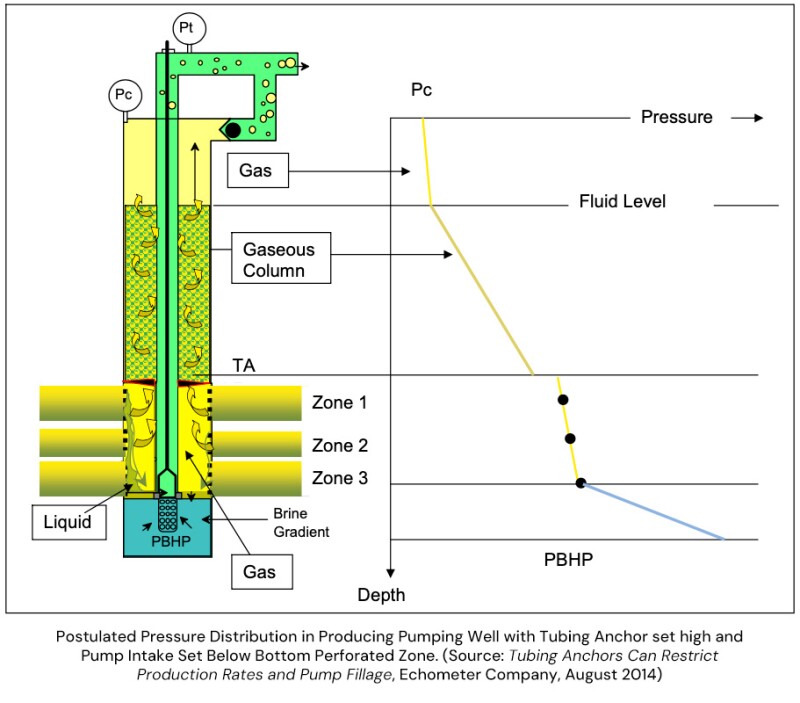 Echometer graphic.jpg