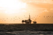 Sea Gulls Fly in Front of Oil Platform