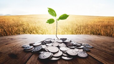 Plant growing from a bunch of dollar cent coins