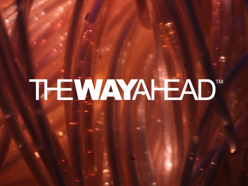The Way Ahead Logo on background